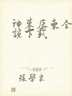 神墓辰东全本小说下载