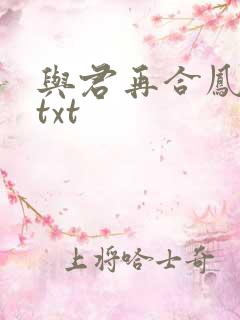 与君再合凤求凰txt