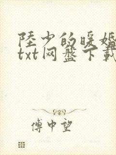 陆少的暖婚新妻txt网盘下载