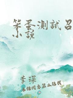 笨蛋测试召唤兽小说