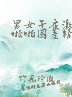 男女午夜激情啪啪啪国产精品