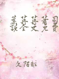 叶苒苒萧司琛小说全文免费阅读