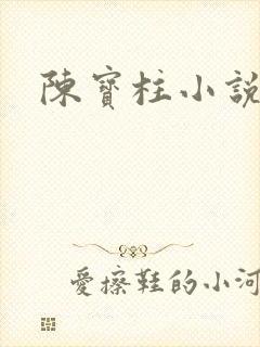 陈宝柱小说