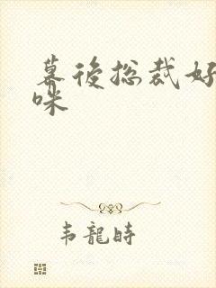 幕后总裁好孕妈咪
