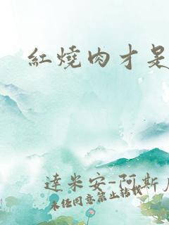 红烧肉才是真爱