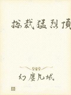 总裁猛烈顶弄h