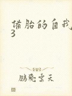 备胎的自我修养3