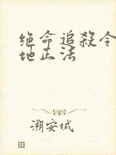 绝命追杀令2就地正法