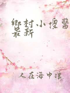 乡村小傻医小说最新