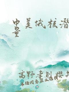 中美俄核潜艇数量
