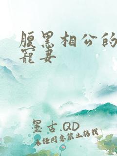 腹黑相公的庶女宠妻