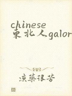 chinese东北人galore