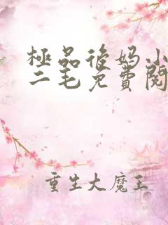极品后妈小说王二毛免费阅读全文