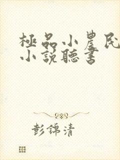 极品小农民陈西小说听书