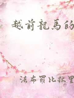越前龙马的小说
