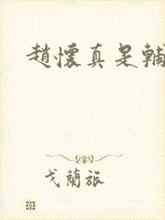 赵怀真是辅助吗