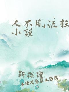 人不风流枉少年小说