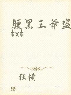 腹黑王爷盗墓妃txt