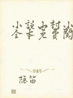 小说山村小农民全本免费阅读
