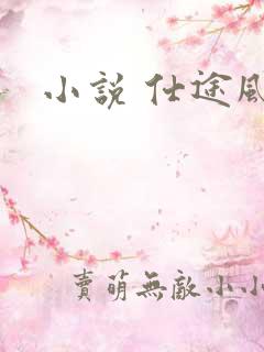 小说 仕途风流