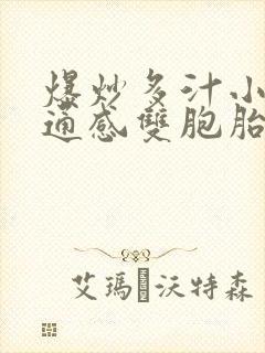 爆炒多汁小美人通感双胞胎燎锋