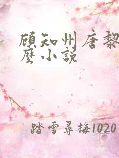 顾知州唐黎叫什么小说