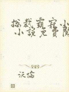 总裁霸宠小娇妻 小说免费阅读