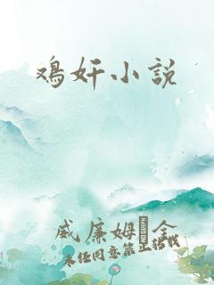 鸡奸小说