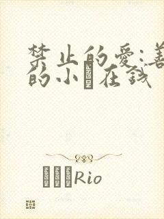 禁止的爱:善良的小峓在钱