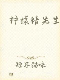 柠檬精先生