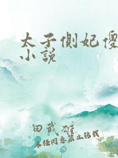 太子侧妃傻乎乎小说