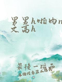 男男h啪肉np文高h