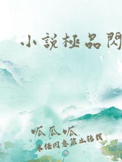 小说极品闪婚