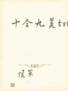 十全九美txt