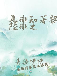 见微知著黎见卿陆微之