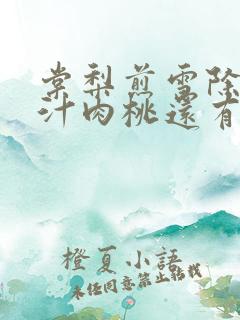 棠梨煎雪除了蜜汁肉桃还有什么肉