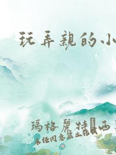 玩弄亲的小说文