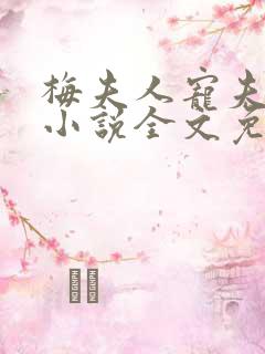 梅夫人宠夫日常小说全文免费阅读