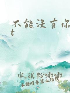不能没有你txt
