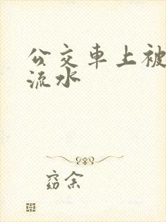 公交车上被蹭到流水