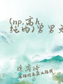 (np,高h,纯肉)男男文