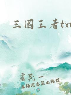三国王者txt