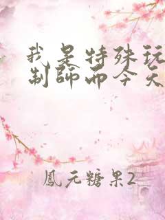 我是特殊玩具定制师而今天的客户