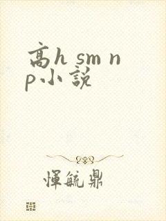 高h sm np小说