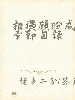 相遇顾盼成欢全章节目录