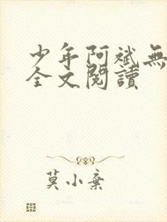 少年阿斌无删减全文阅读
