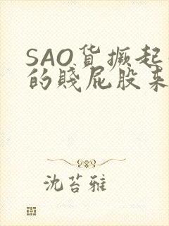 SAO货撅起你的贱屁股来