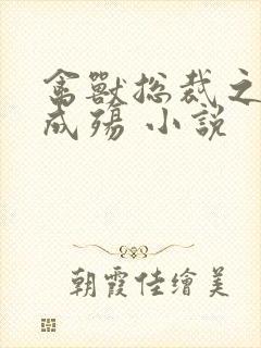 禽兽总裁之虐爱成殇 小说