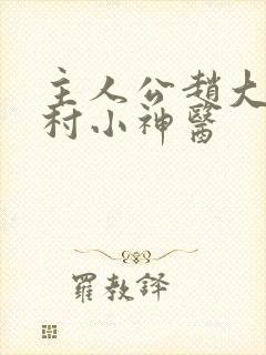 主人公赵大宝乡村小神医