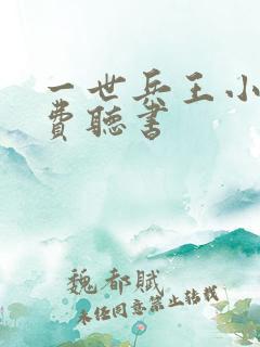 一世兵王小说免费听书